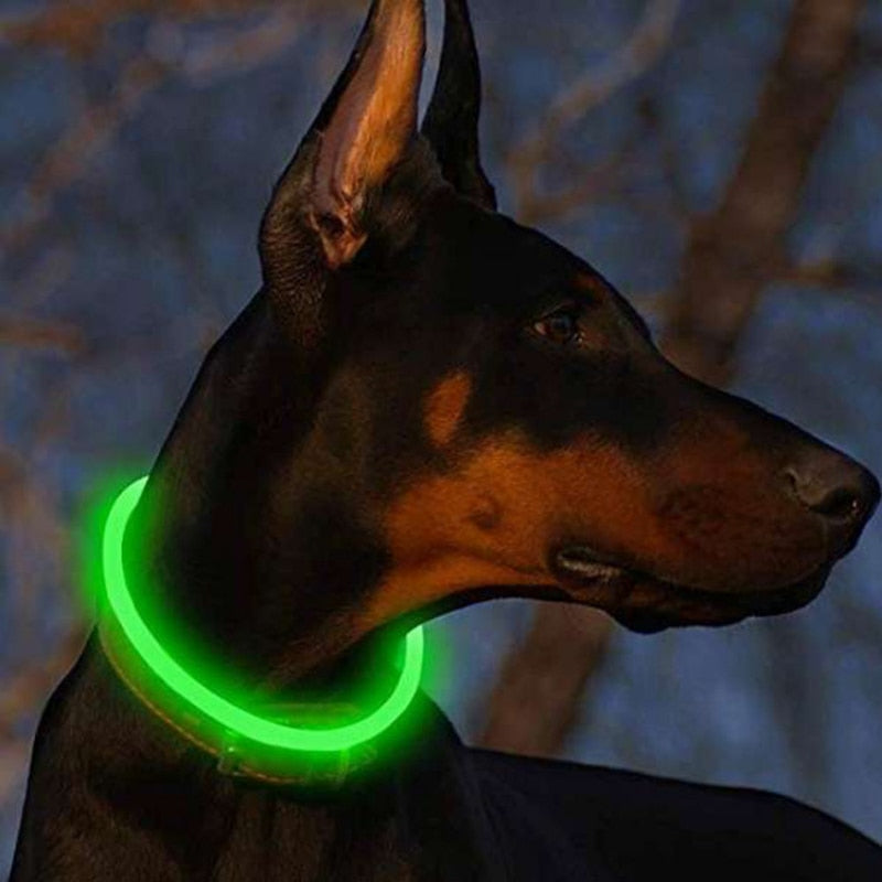 USB充電式発光犬用首輪　LEDナイトグローイングバッテリー犬用アクセサリー